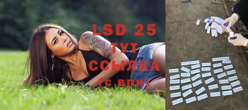 купить наркотики сайты  Болхов  LSD-25 экстази кислота 